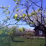 Na Koncu Swiata Rzuchowa