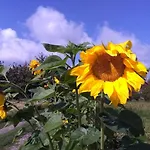 Na Koncu Swiata