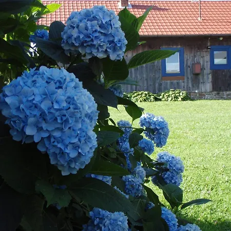 Na Koncu Swiata Rzuchowa