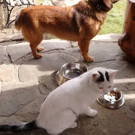 Na Koncu Swiata 度假居 *