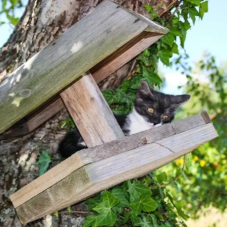 Na Koncu Swiata 度假居 *